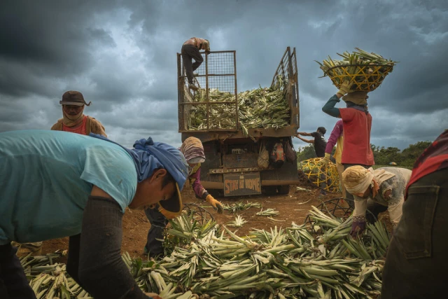 Cambodia Methane 2025